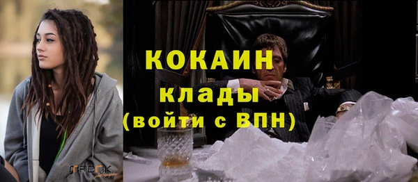 стаф Аркадак