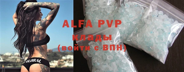 стаф Аркадак