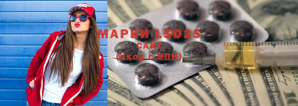 стаф Аркадак