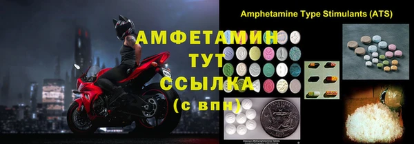 стаф Аркадак