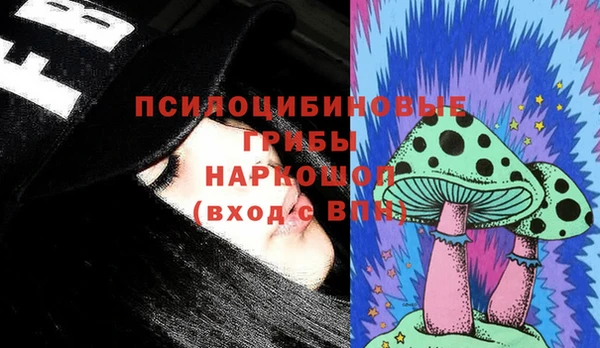 стаф Аркадак