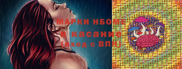 стаф Аркадак
