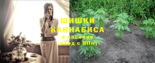 стаф Аркадак