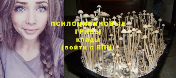 ешки Армянск