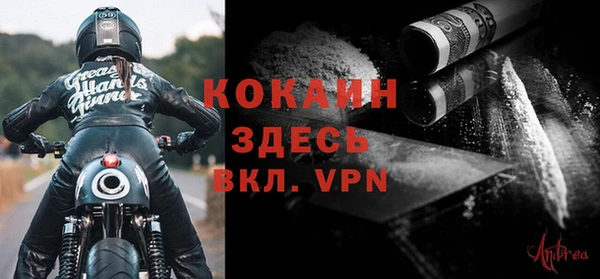 стаф Аркадак